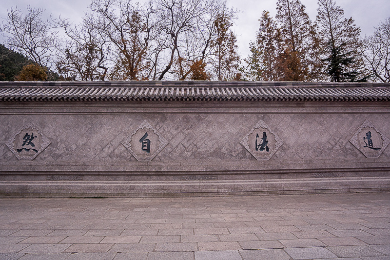 青岛即墨美女去旅游(青岛即墨美女去旅游的地方)