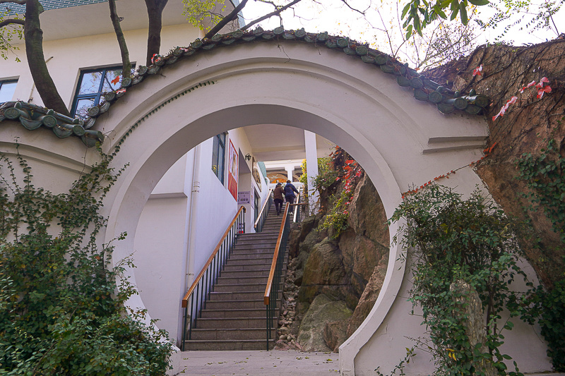 青岛周边秋季旅游(青岛周边省份旅游)
