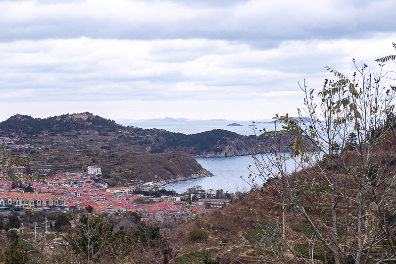 青岛亲亲旅游网 青岛亲亲旅游网招聘